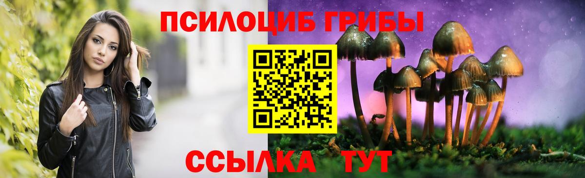 Галлюциногенные грибы Psilocybine cubensis Нарткала