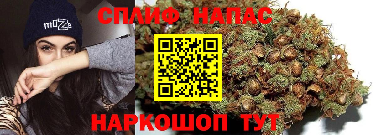 МАРИХУАНА MAZAR  Вход с VPN  Канабис OG Kush  Канабис план  Нарткала 