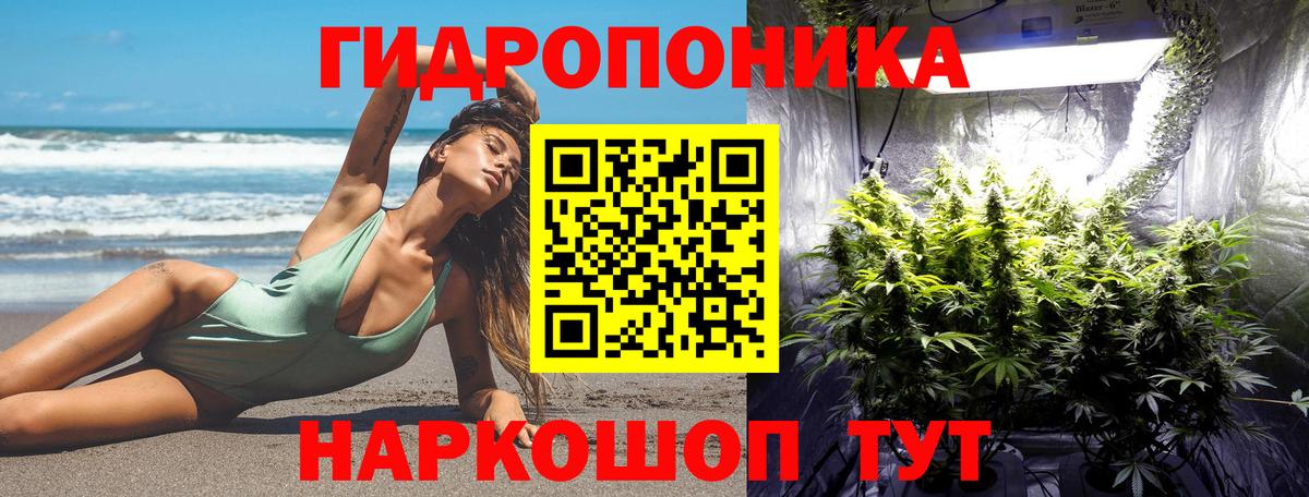 Бошки марихуана тримм Нарткала